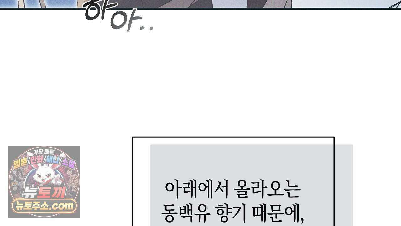 백송의 꽃말 11화 54