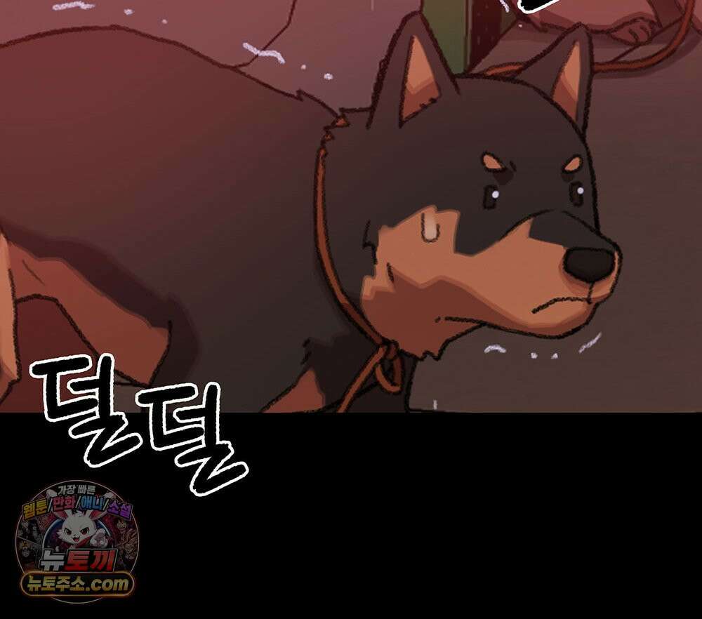 무지개다리 파수꾼 203화 12