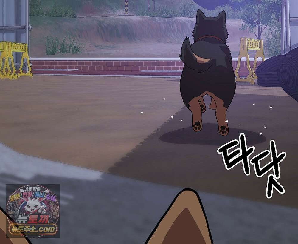 무지개다리 파수꾼 203화 71