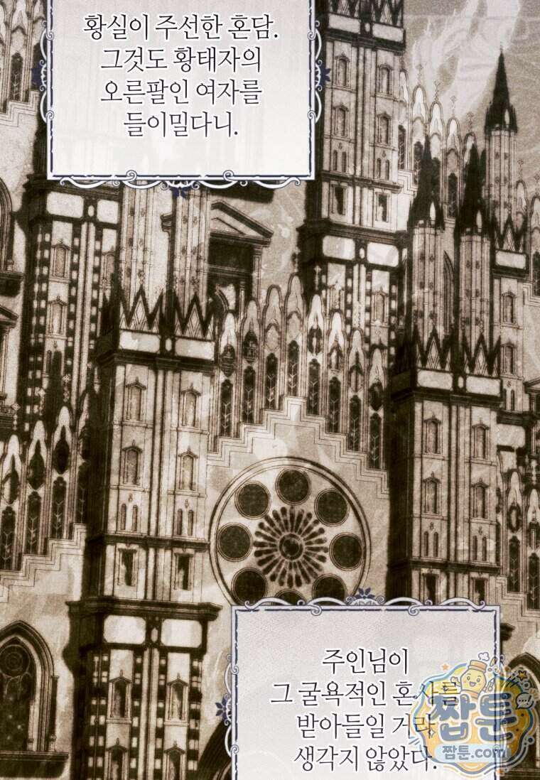 이 결혼은 반드시 성공합니다 66화 12