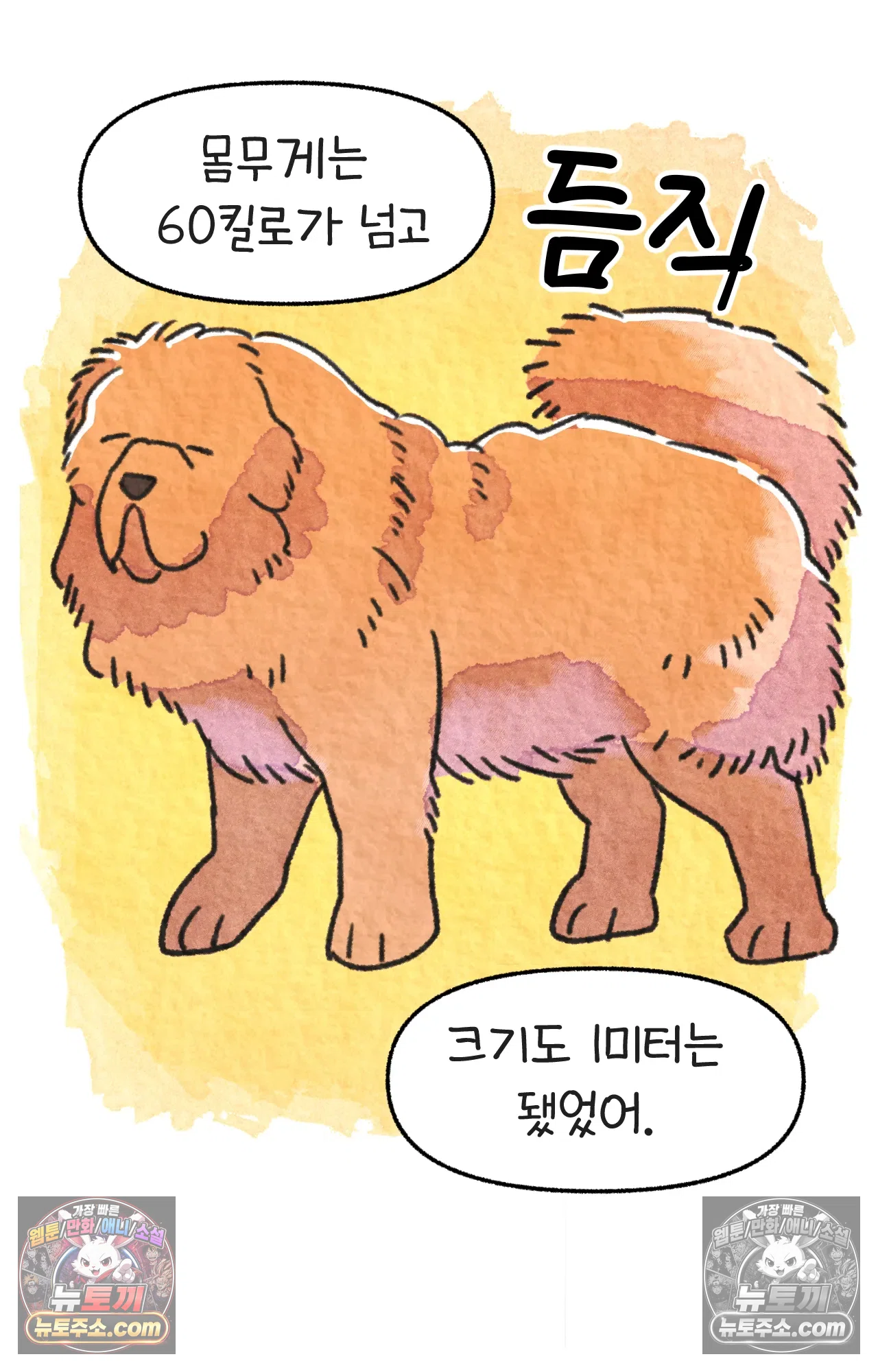 국제결혼 절대로 하지 마라 새로운 가족? 30