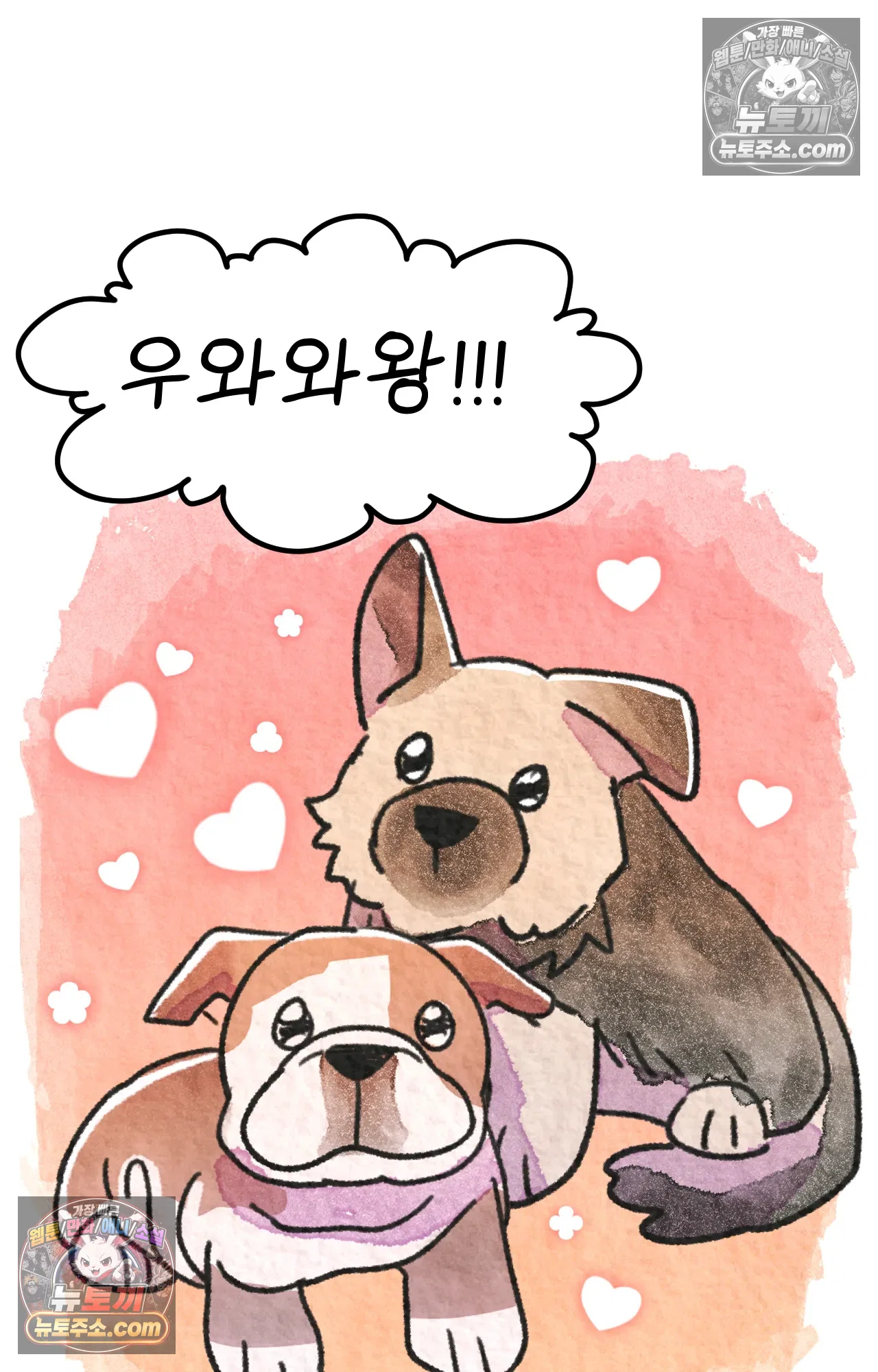 국제결혼 절대로 하지 마라 새로운 가족? 46