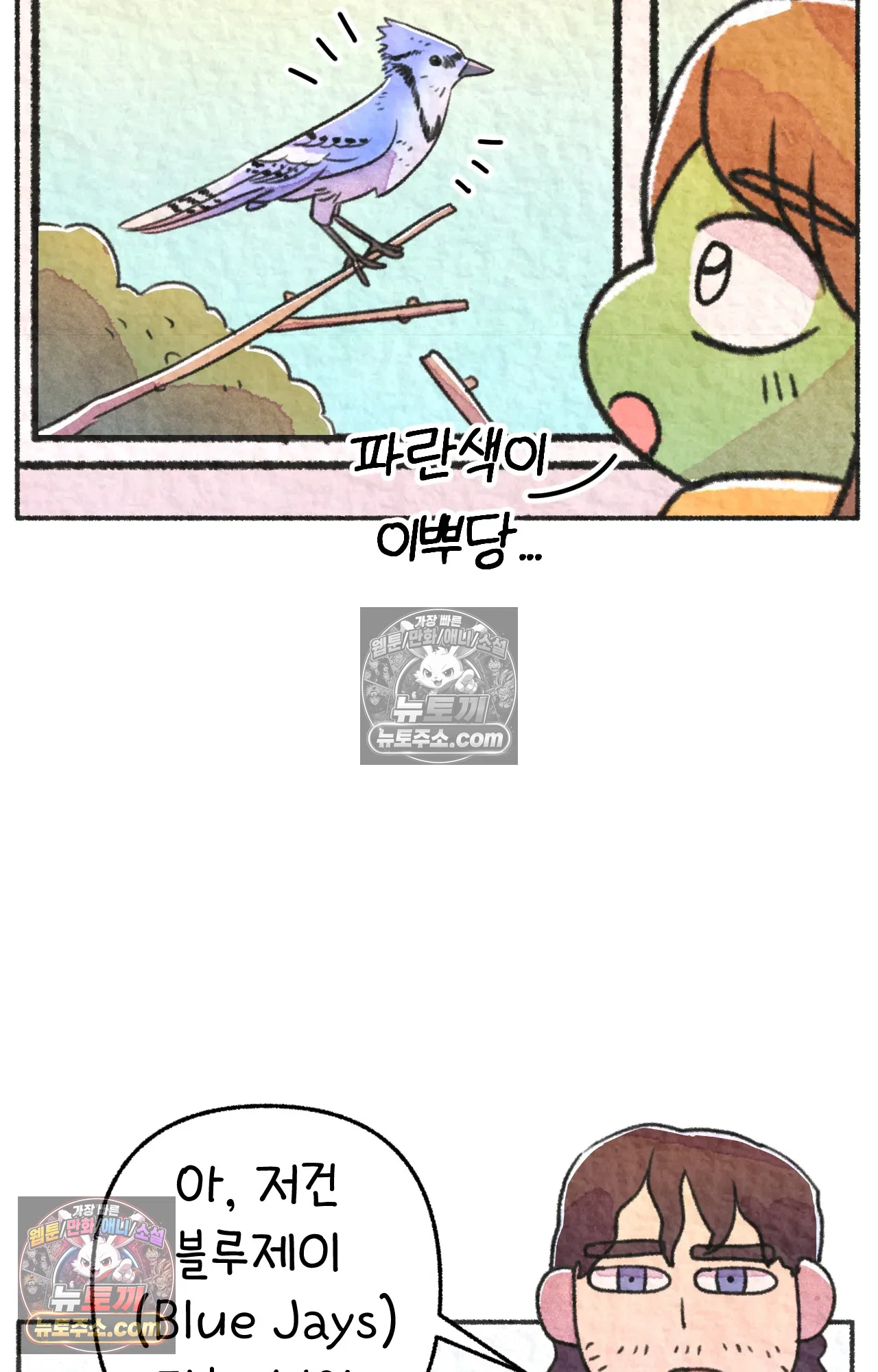 국제결혼 절대로 하지 마라 음모론자, 딜런 31