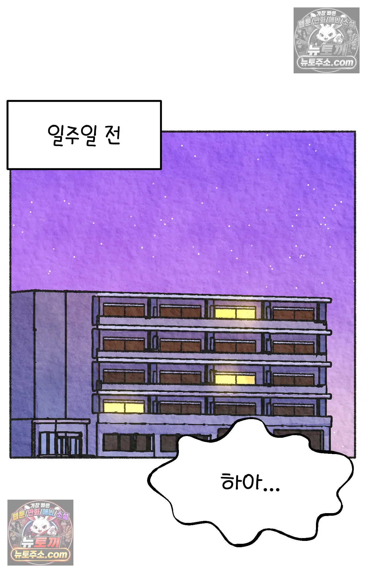 국제결혼 절대로 하지 마라 시애틀과 사우스 캐롤라이나가 같은 나라라고? 11