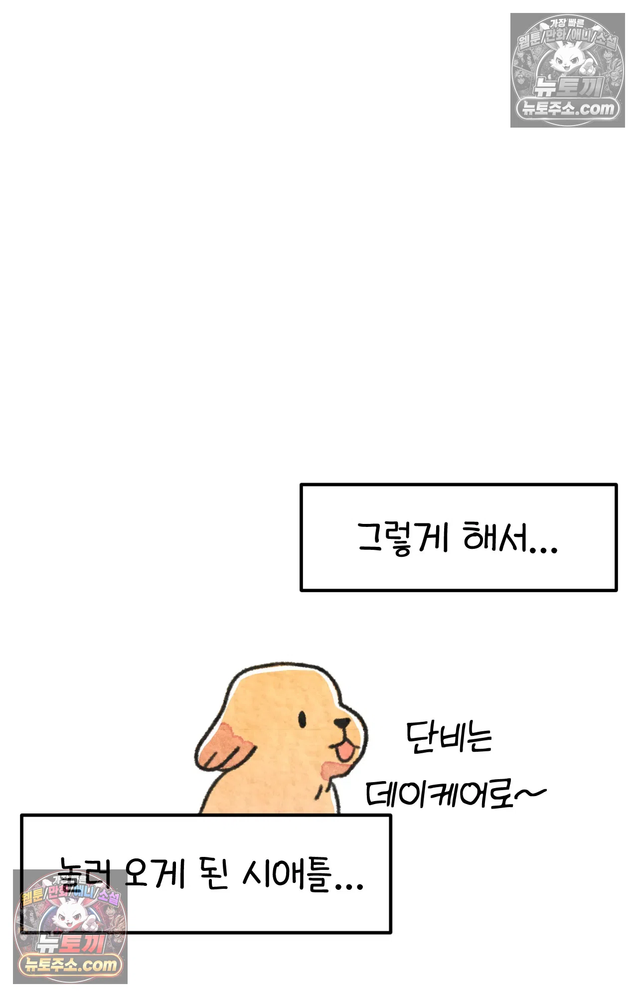 국제결혼 절대로 하지 마라 시애틀과 사우스 캐롤라이나가 같은 나라라고? 22