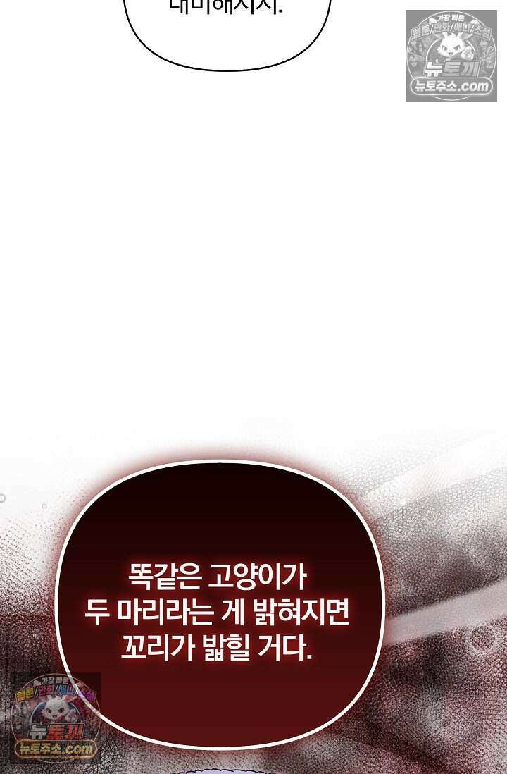 백일의 나홍이 11화 13