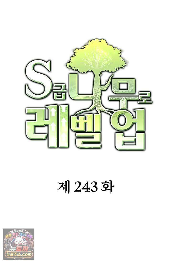 S급 나무로 레벨업 243화 1