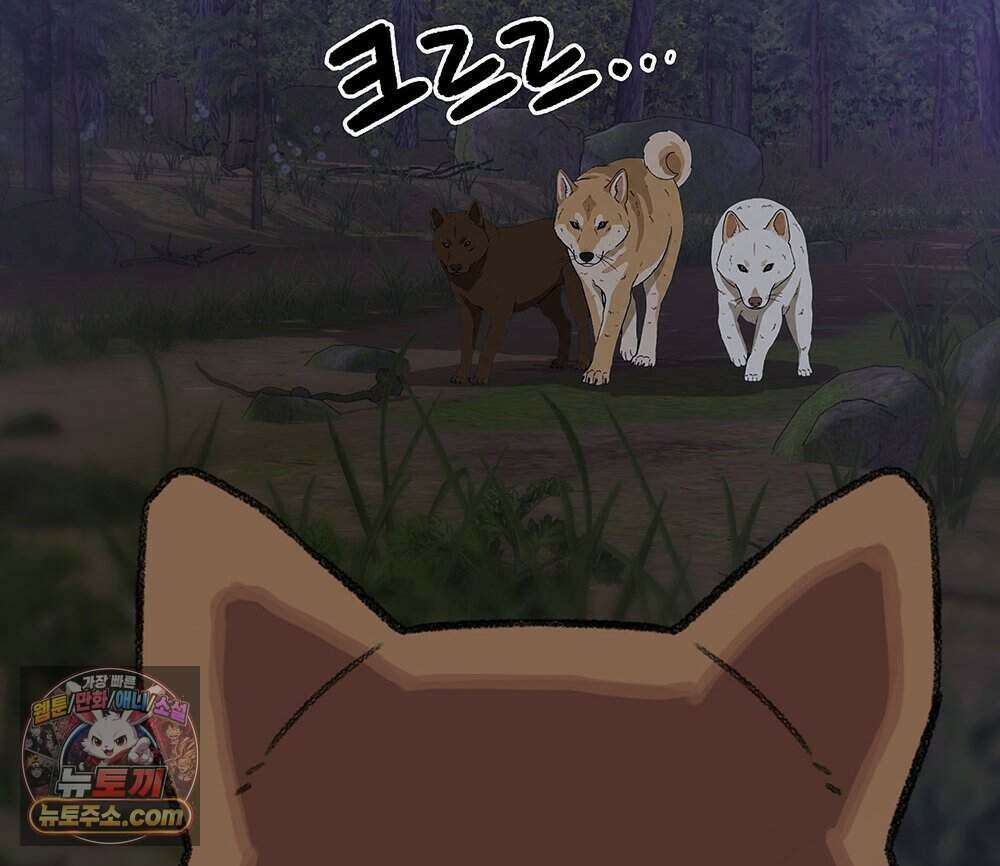 무지개다리 파수꾼 204화 48