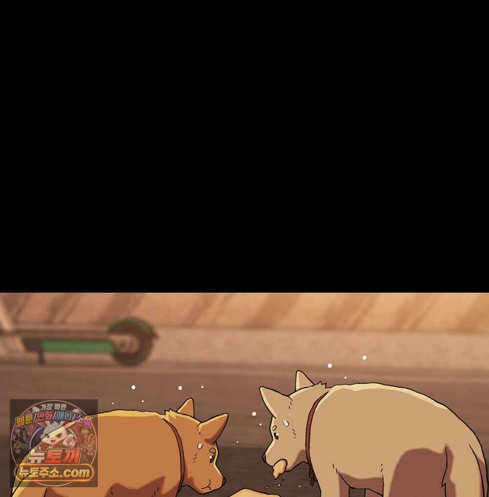 무지개다리 파수꾼 204화 136