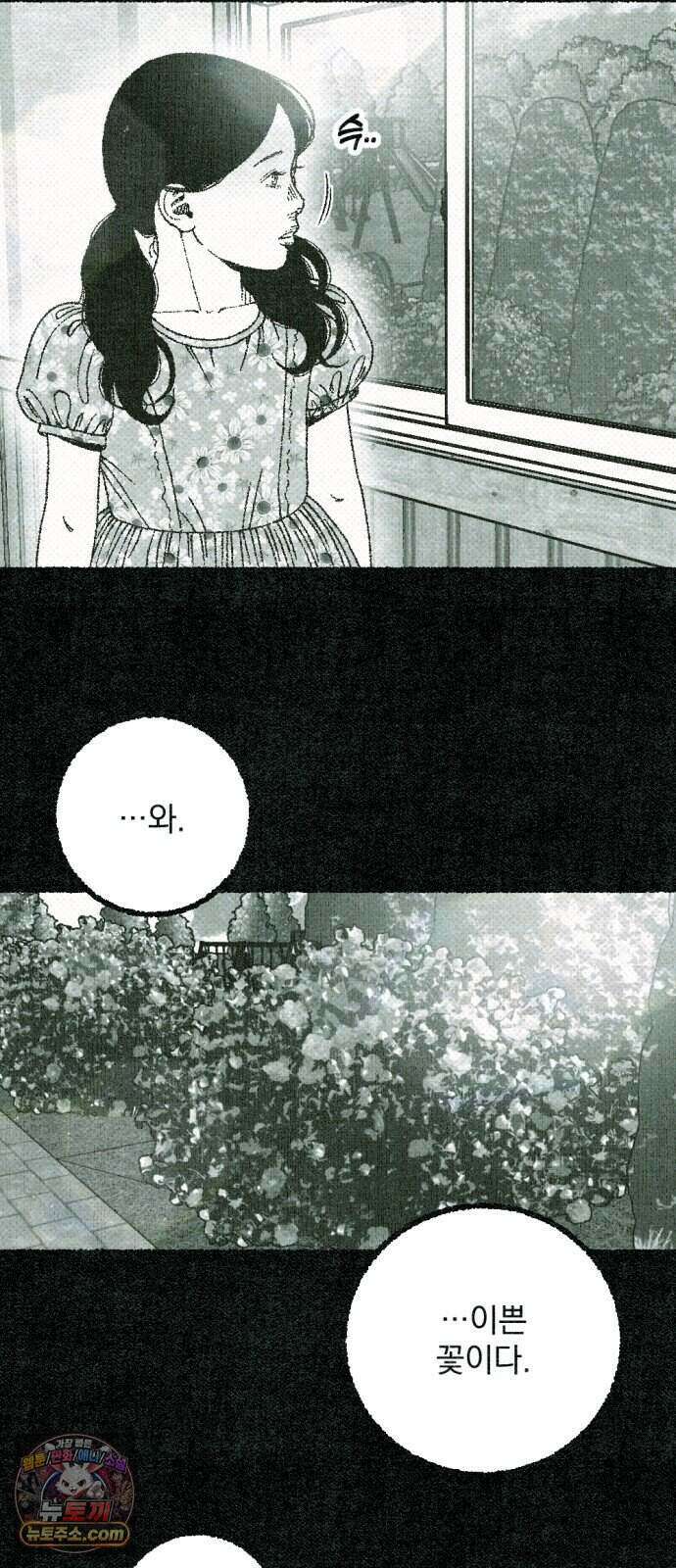 화분 9화 덩굴 3 16