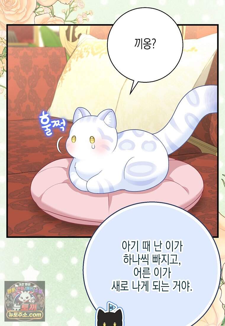 흑표 가문의 설표 아기님 흑표 가문의 동물 가족들 13화 10