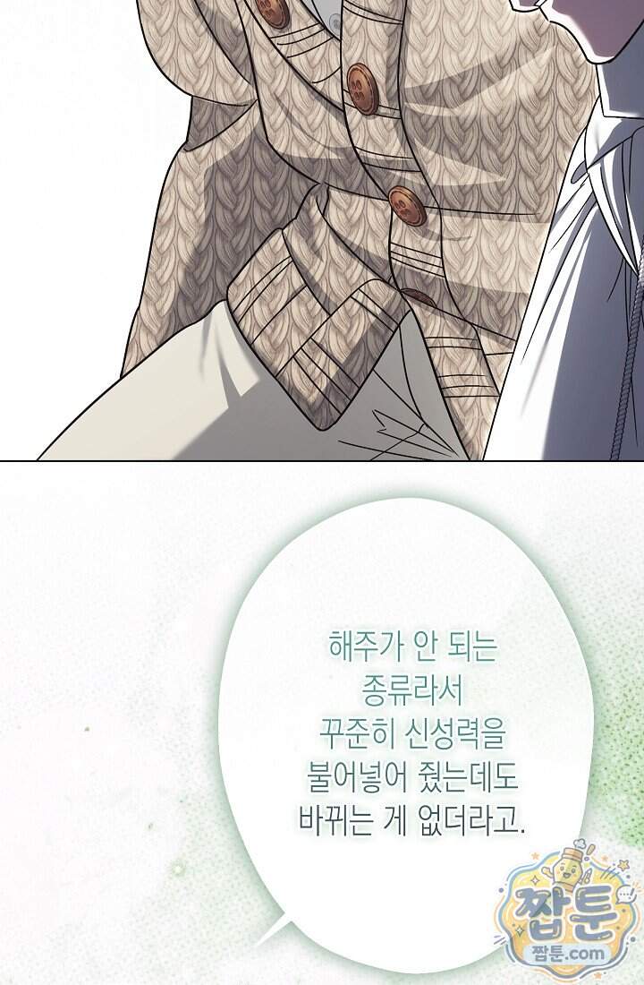 피폐 역하렘 남주들의 막내 처제가 되었다 80화 45