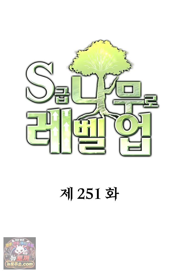 S급 나무로 레벨업 251화 1