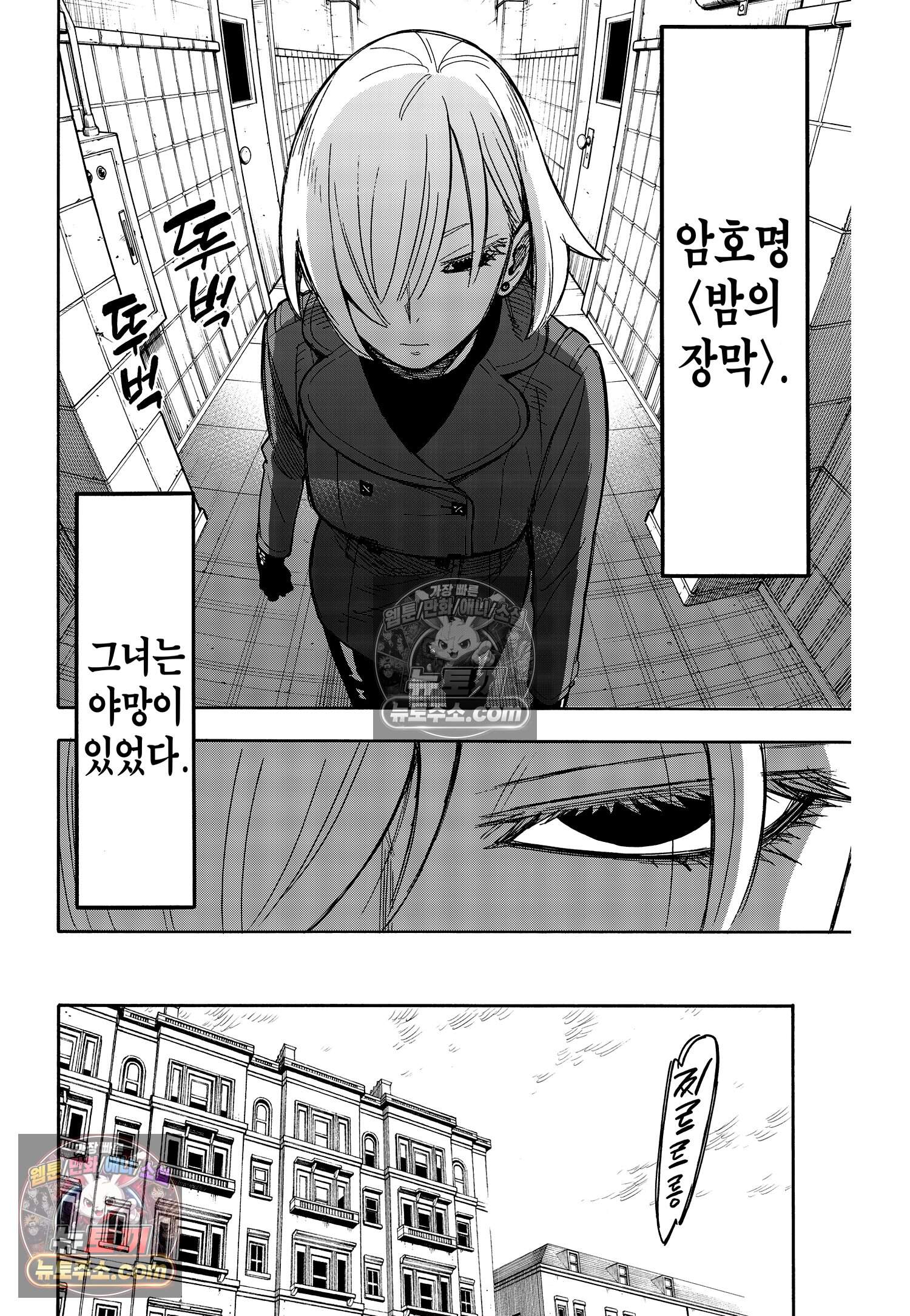 스파이 패밀리 MISSION : 30 5