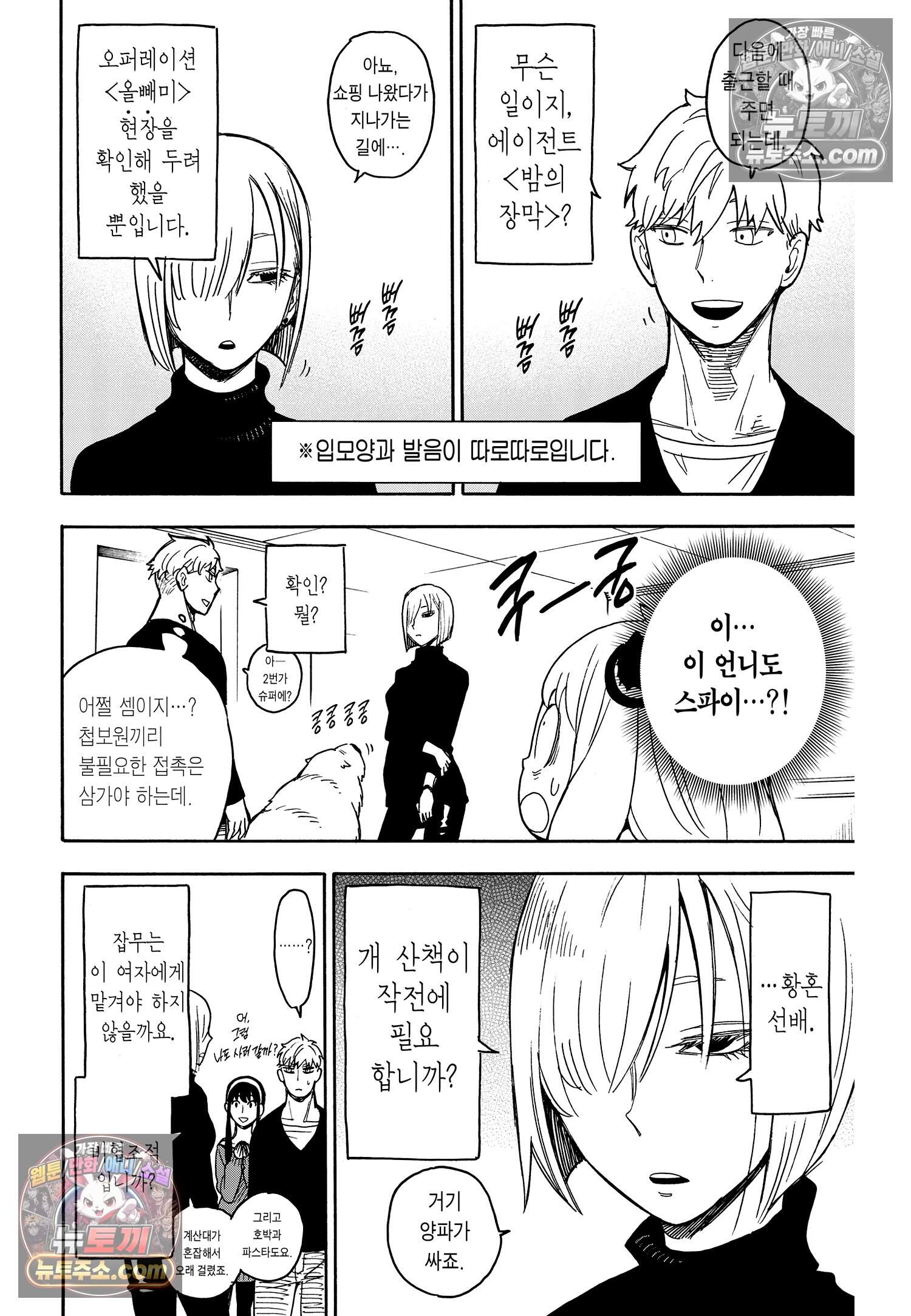 스파이 패밀리 MISSION : 30 11