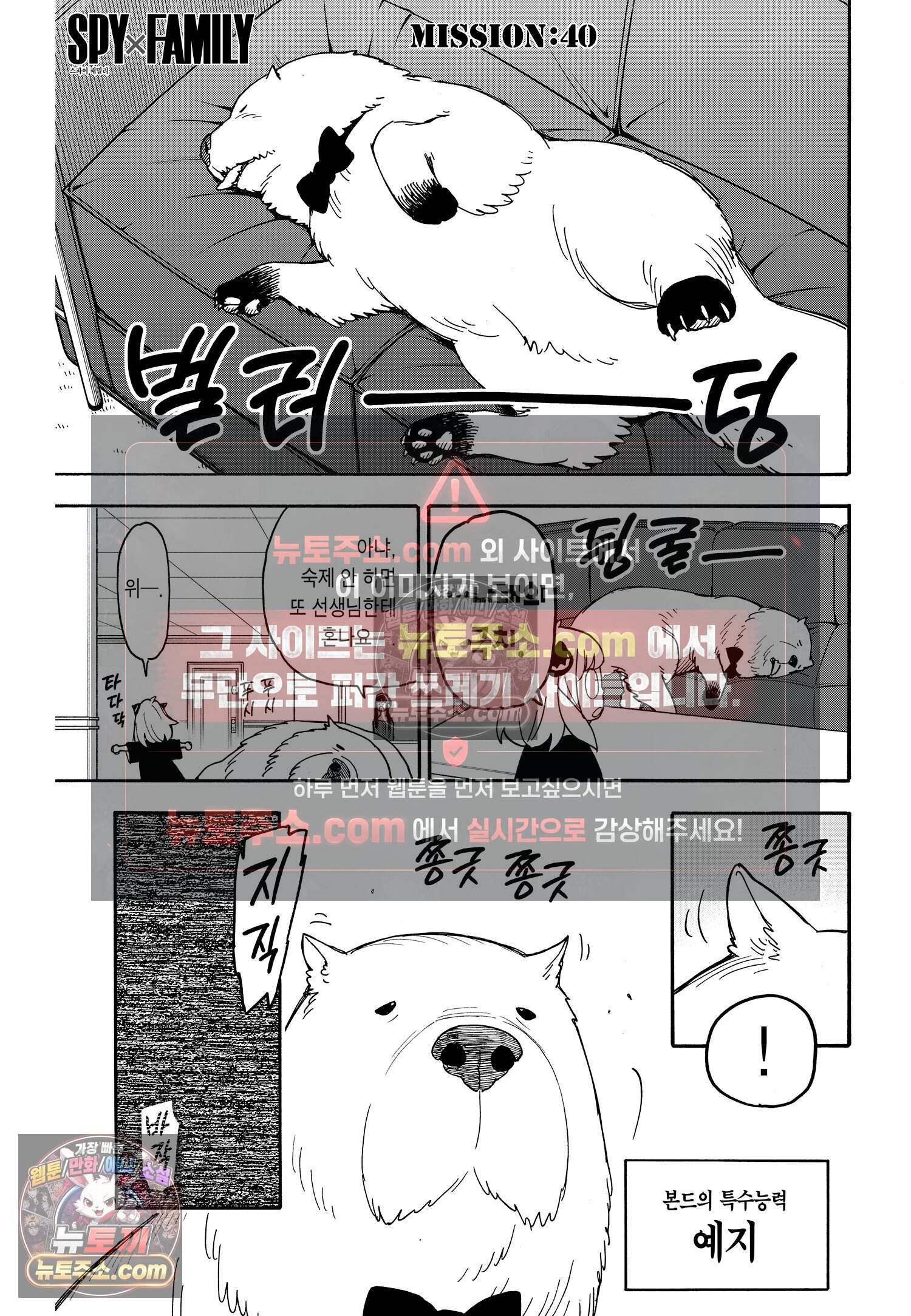스파이 패밀리 MISSION : 40 2