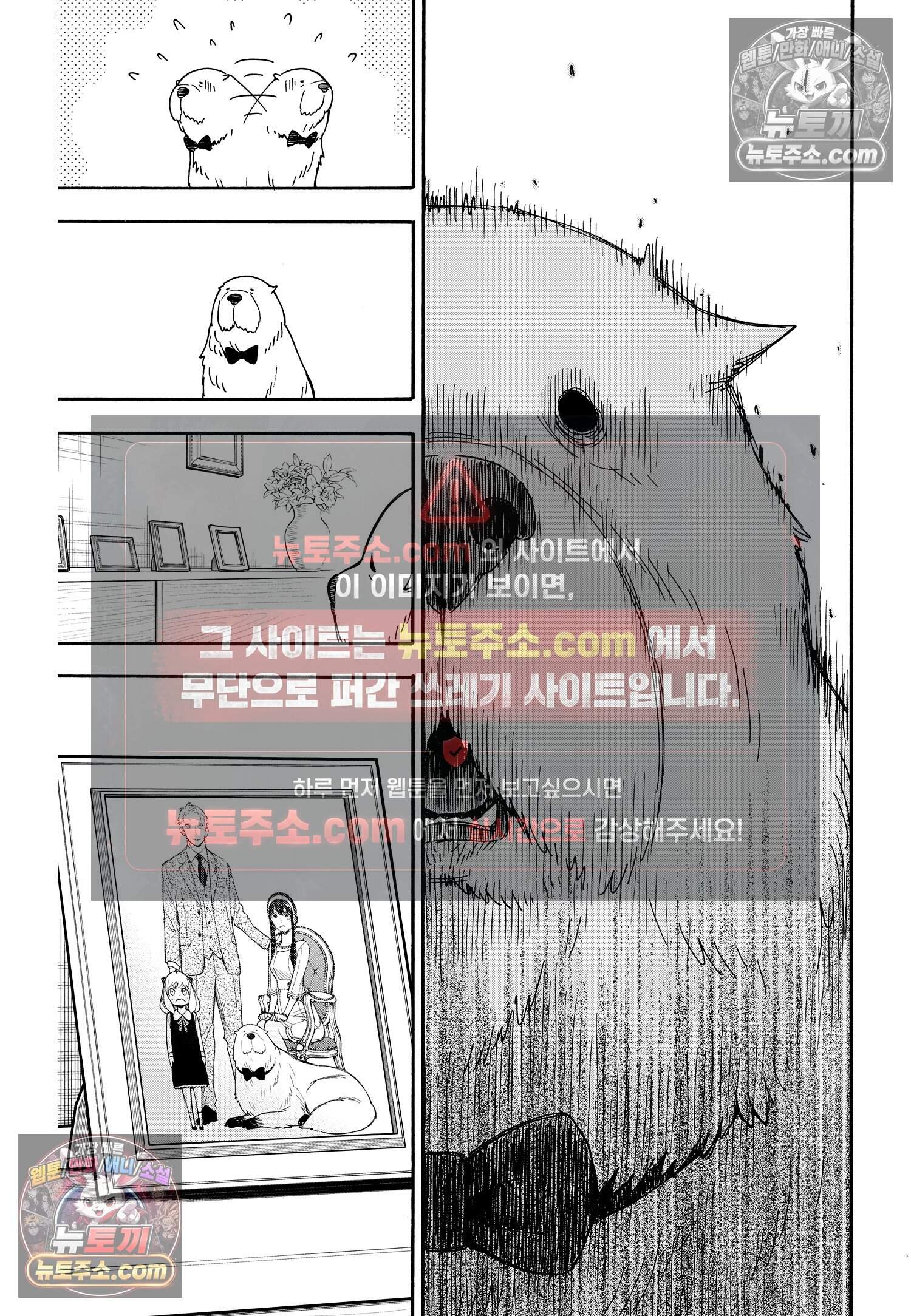 스파이 패밀리 MISSION : 40 6
