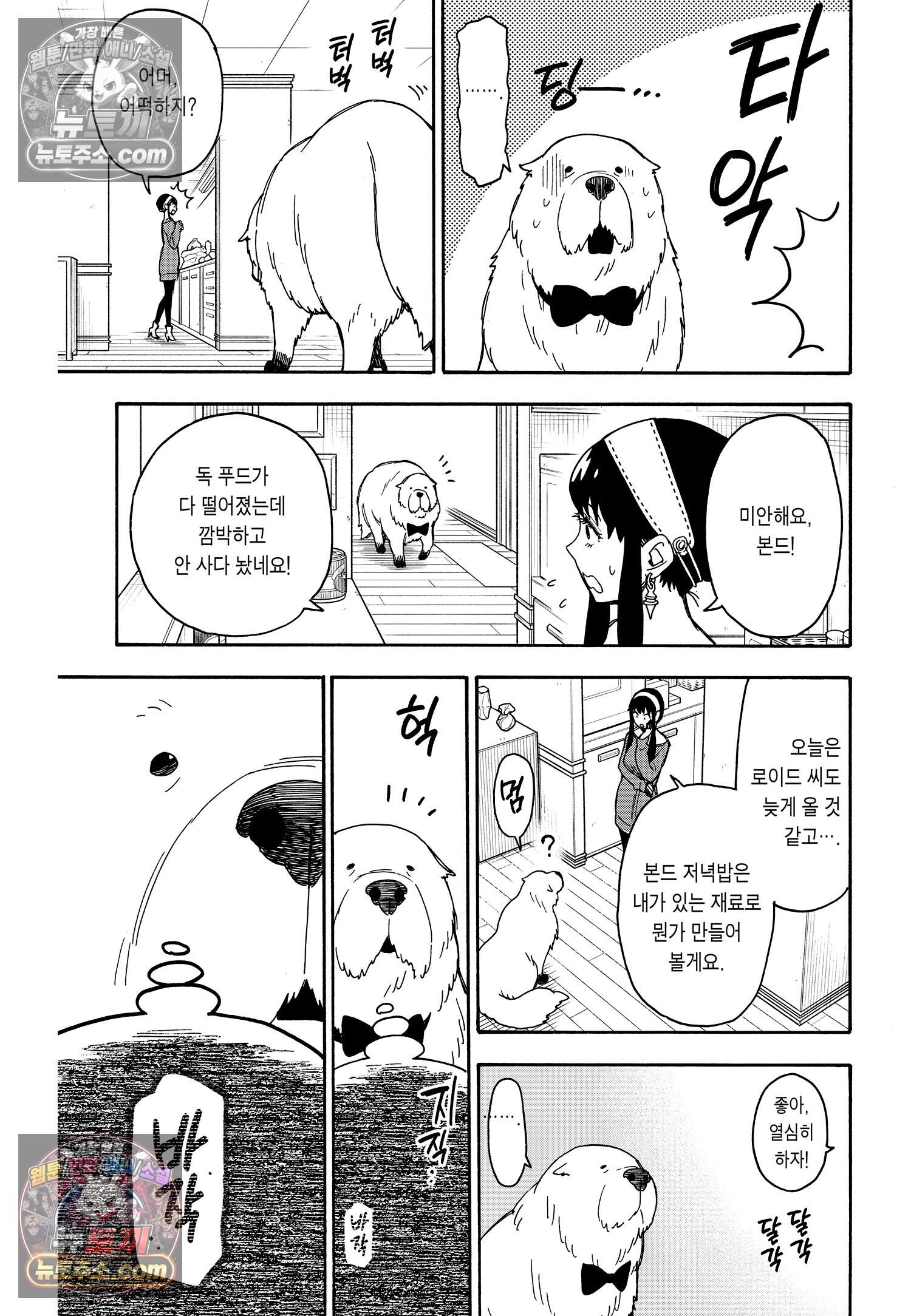 스파이 패밀리 MISSION : 40 8