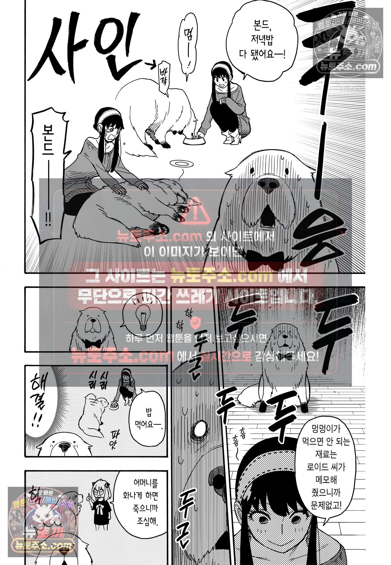 스파이 패밀리 MISSION : 40 9