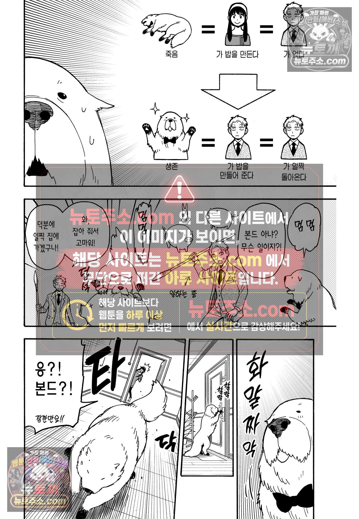 스파이 패밀리 MISSION : 40 11