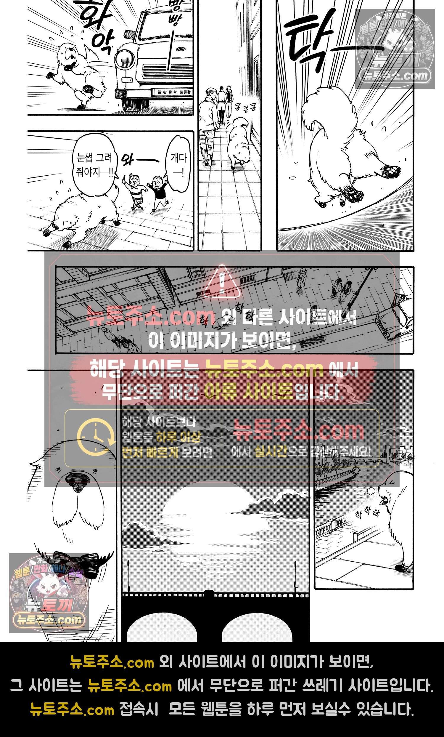 스파이 패밀리 MISSION : 40 14