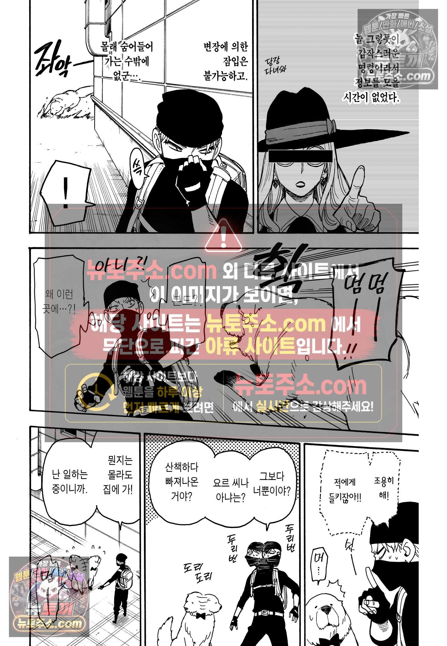 스파이 패밀리 MISSION : 40 17