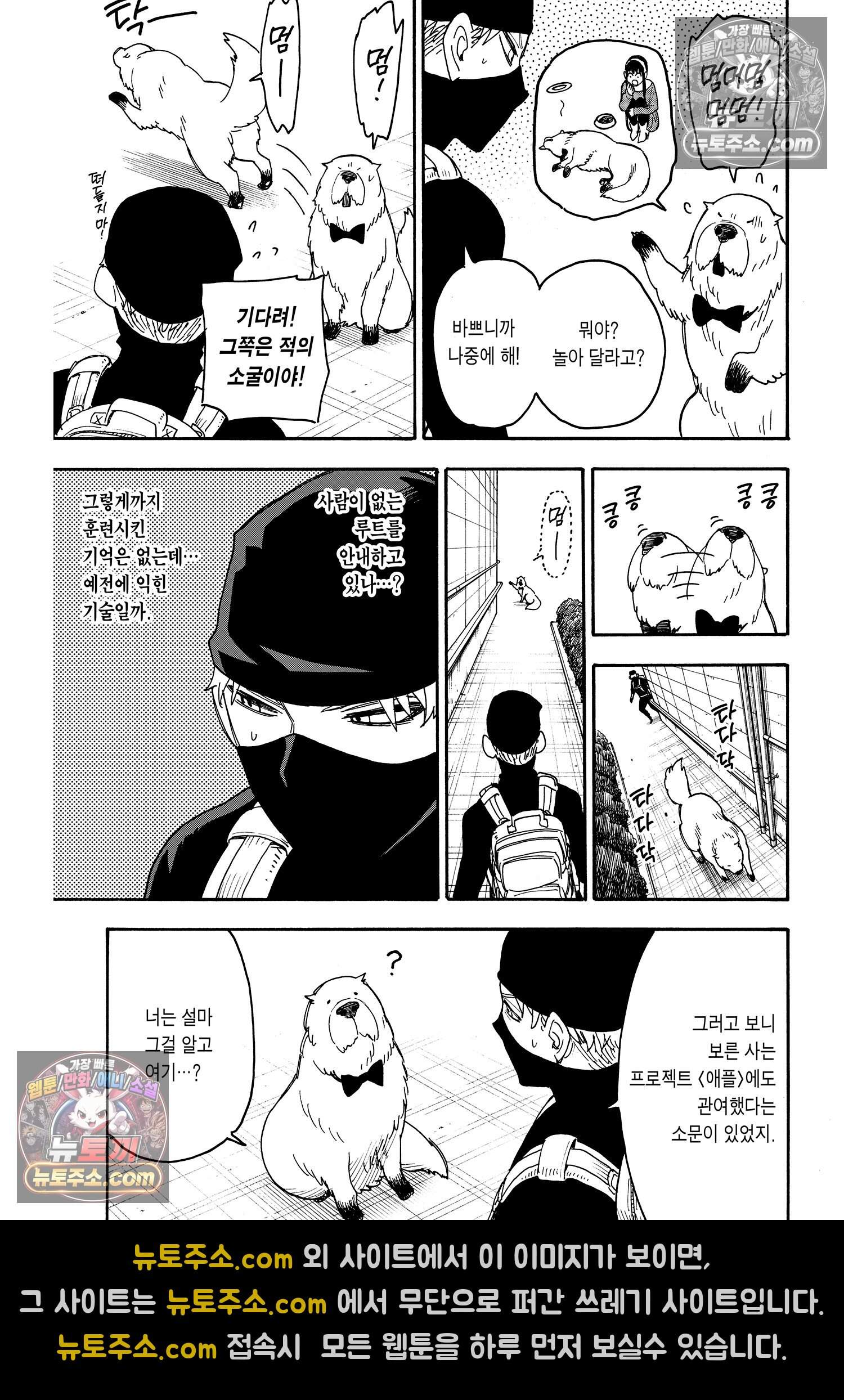스파이 패밀리 MISSION : 40 18