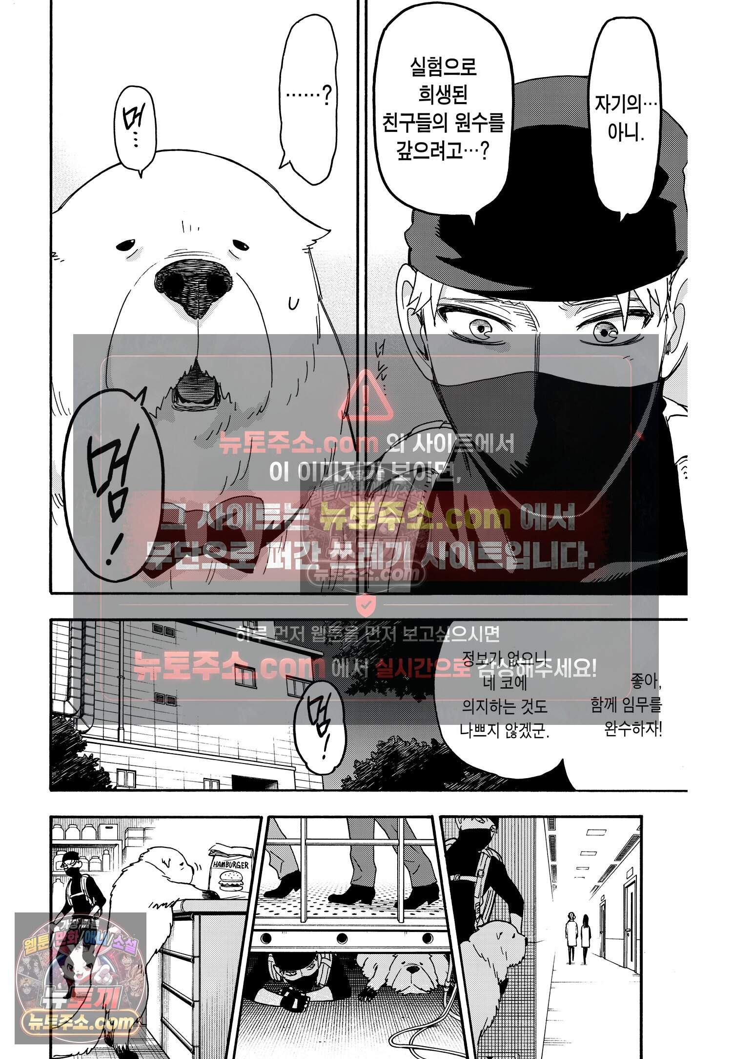 스파이 패밀리 MISSION : 40 19