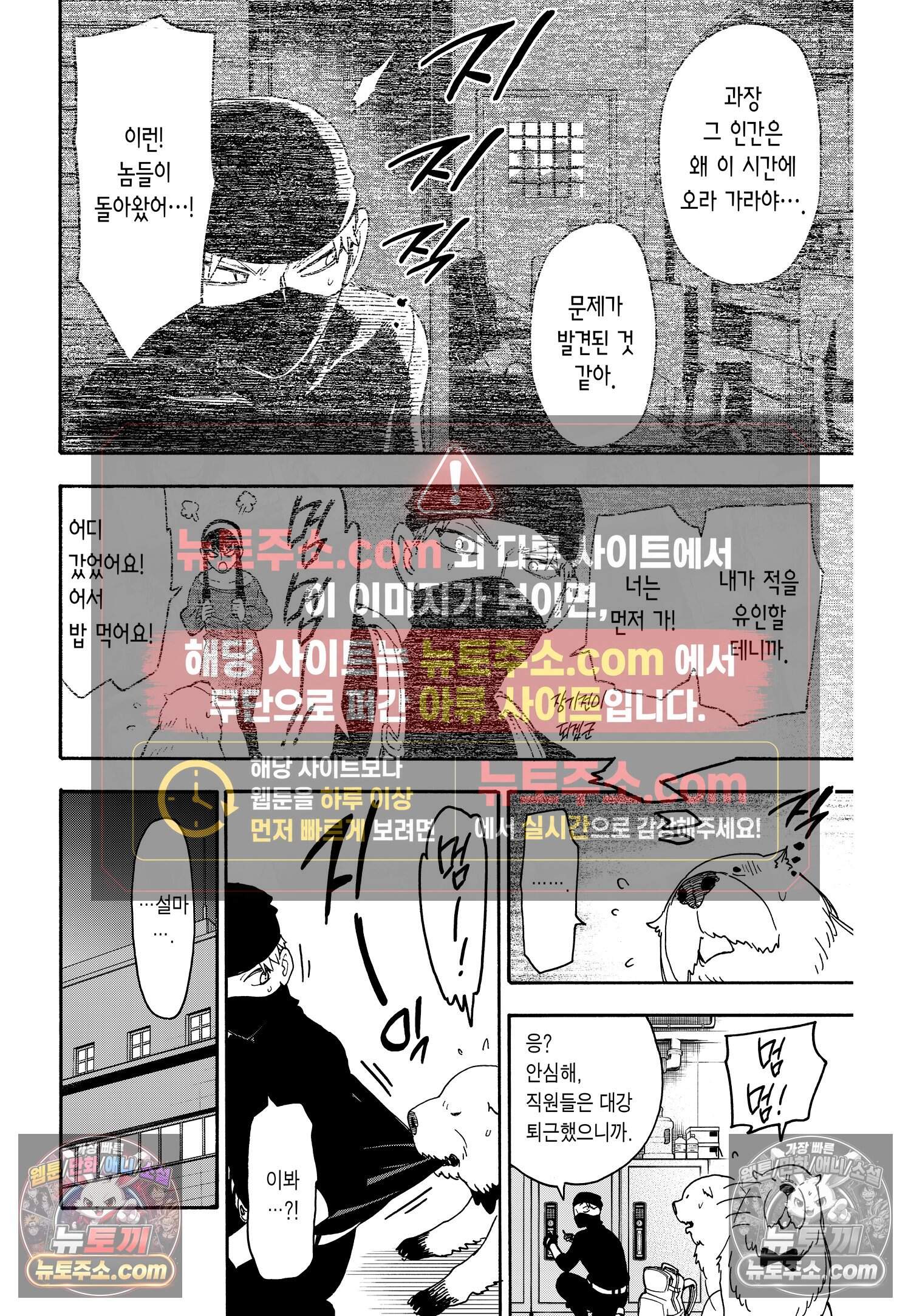 스파이 패밀리 MISSION : 40 21