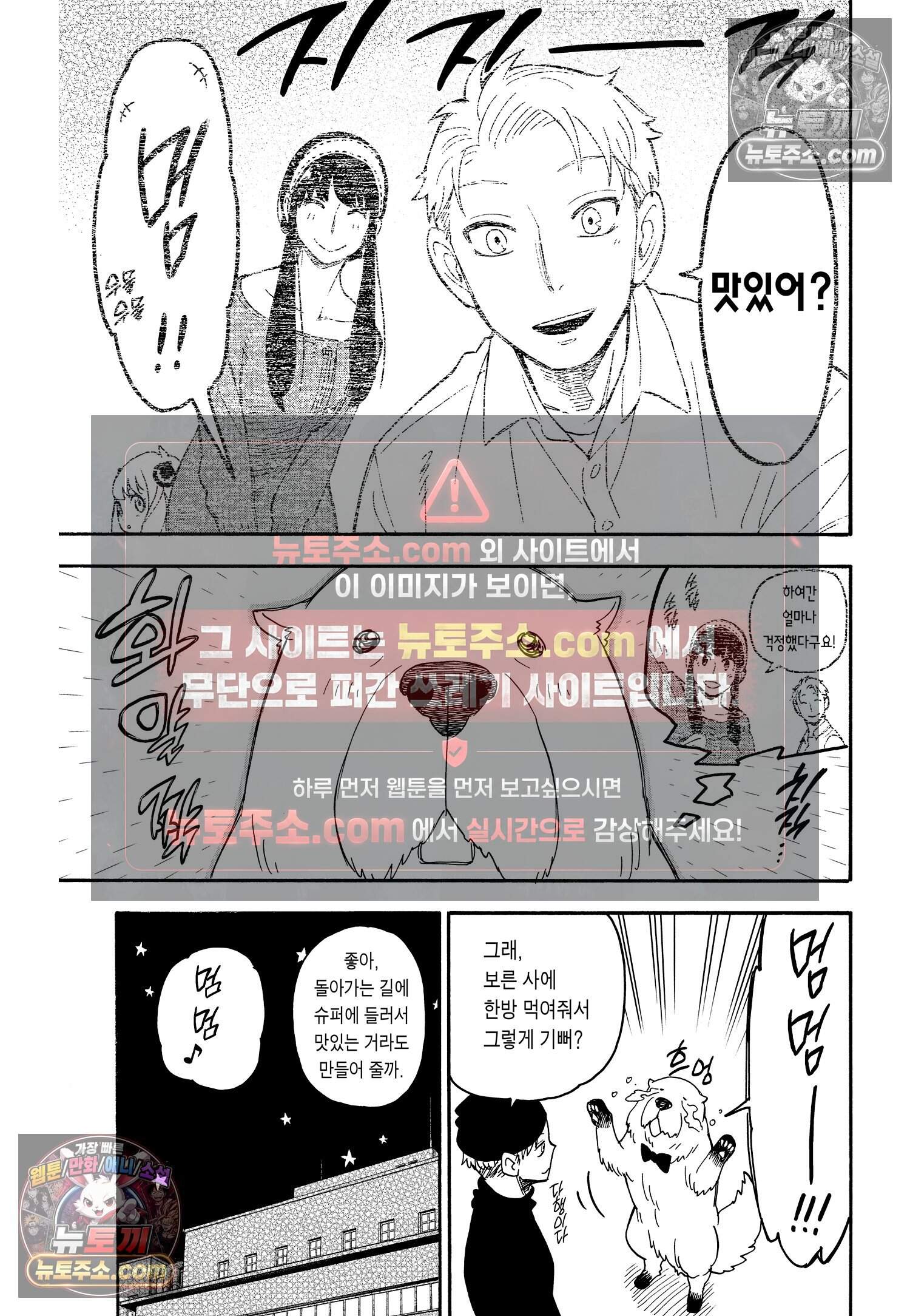 스파이 패밀리 MISSION : 40 26