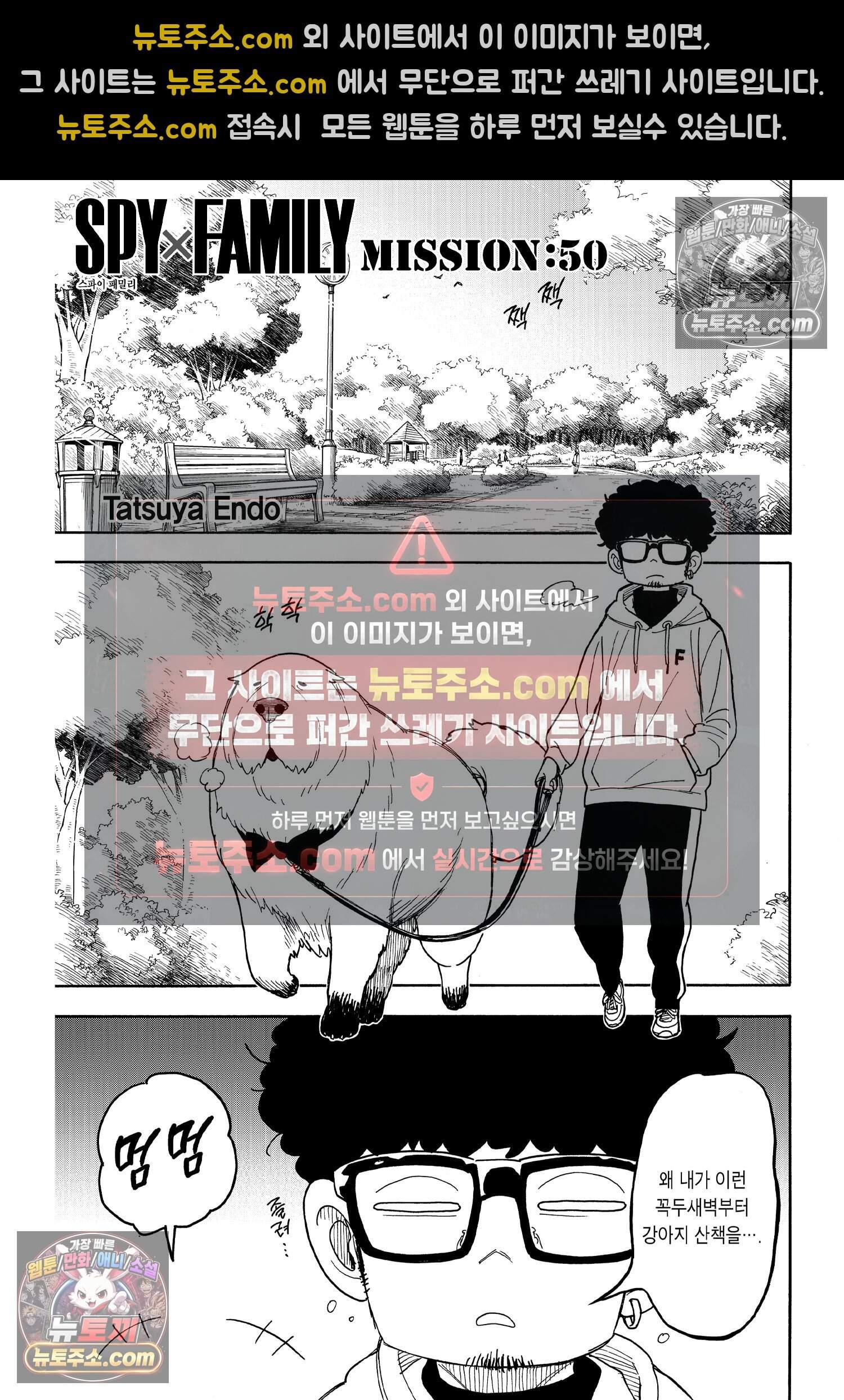 스파이 패밀리 MISSION : 50 2