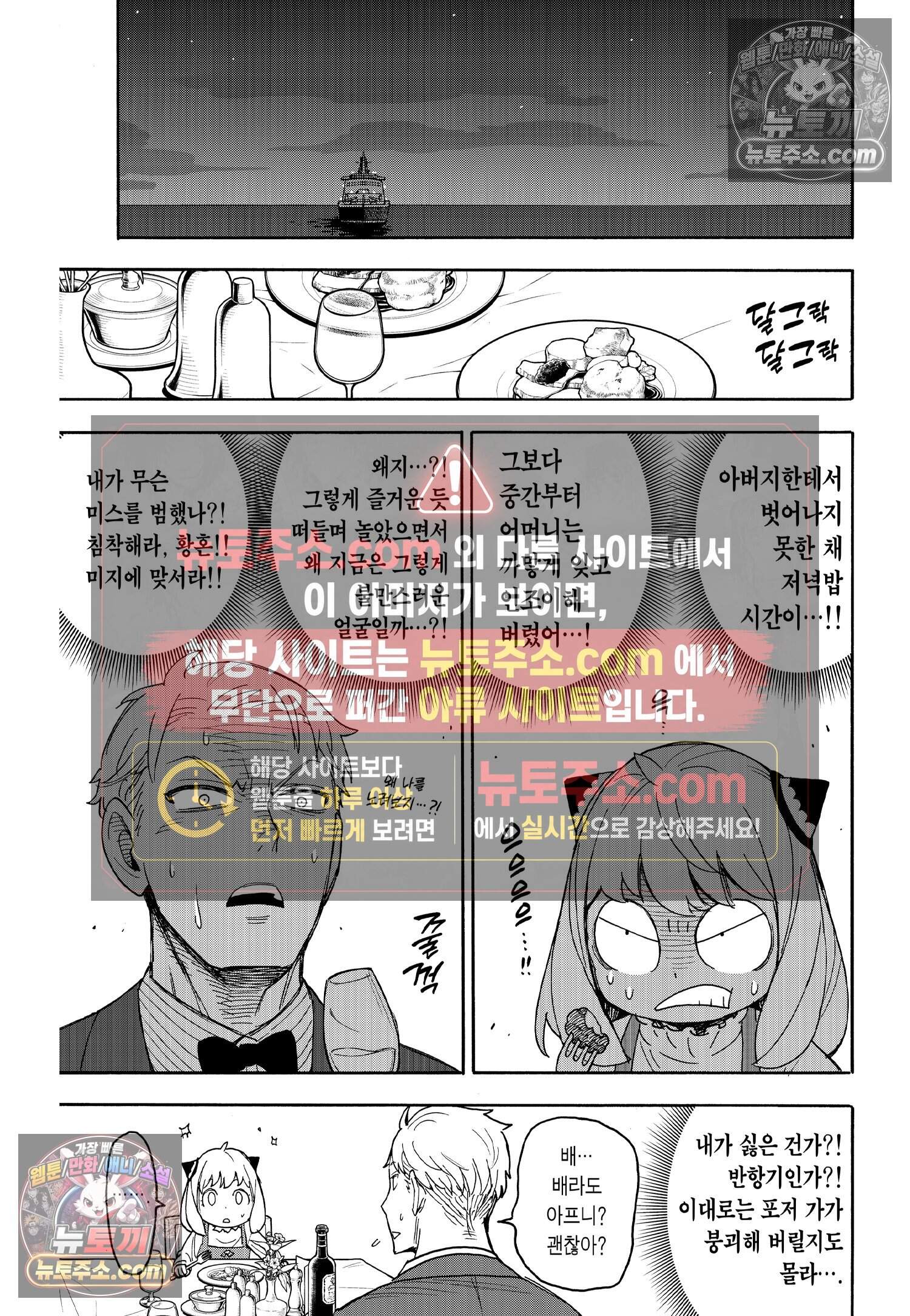 스파이 패밀리 MISSION : 50 12