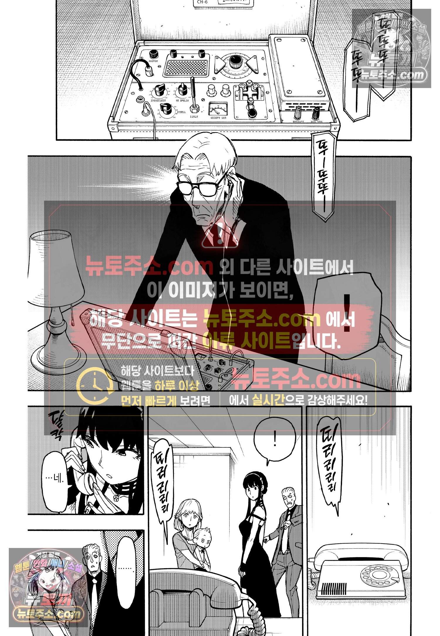 스파이 패밀리 MISSION : 50 16
