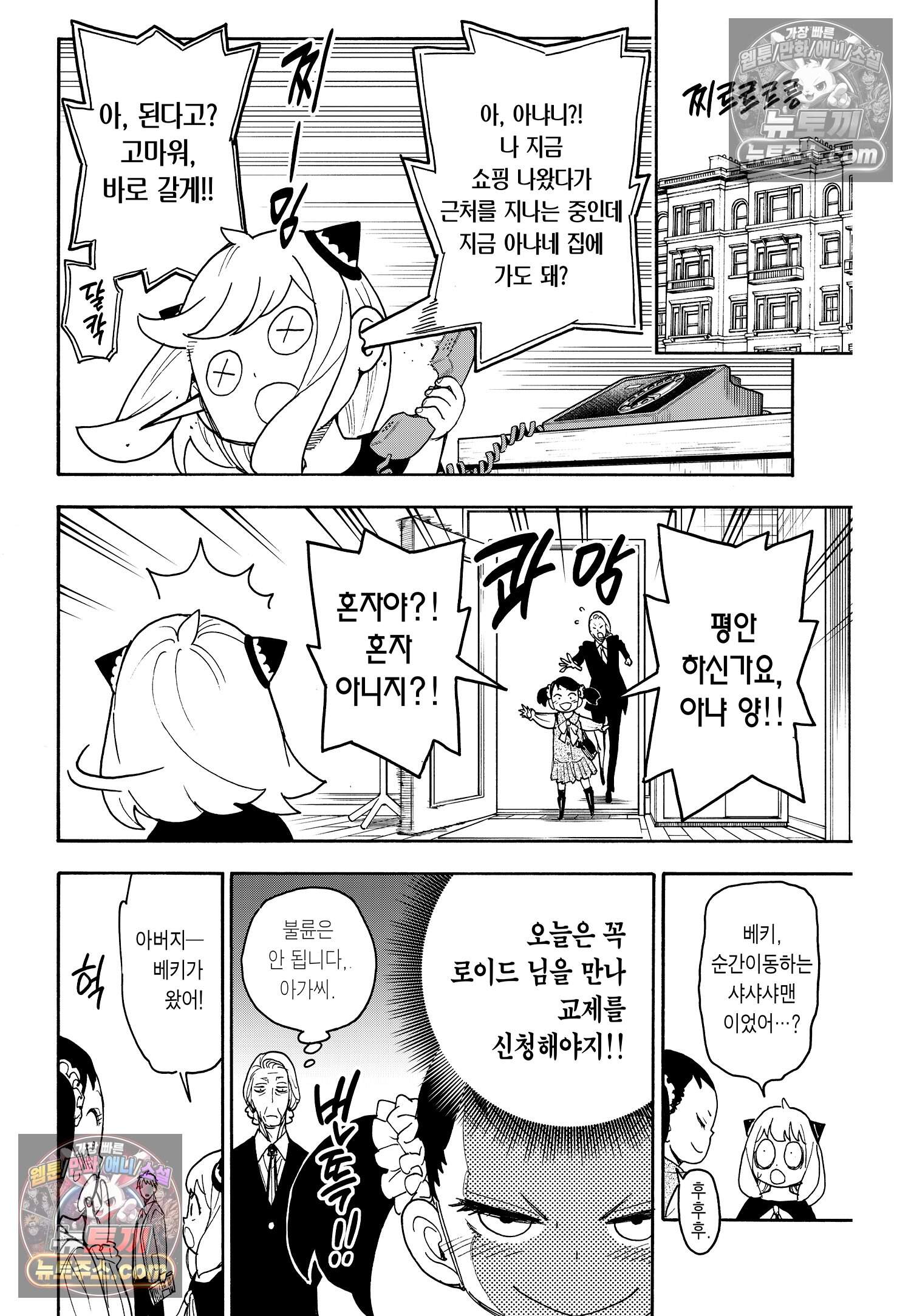 스파이 패밀리 MISSION : 59 3