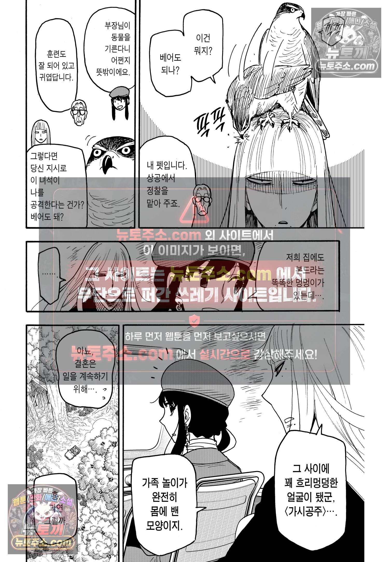 스파이 패밀리 MISSION : 116 3
