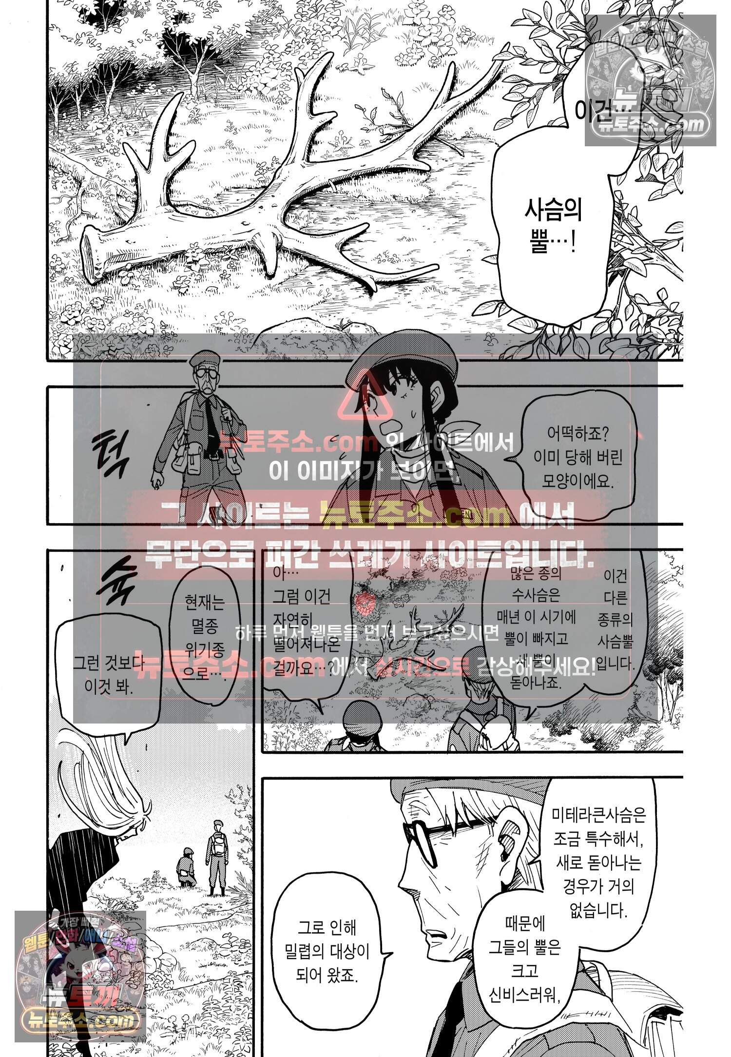 스파이 패밀리 MISSION : 116 9