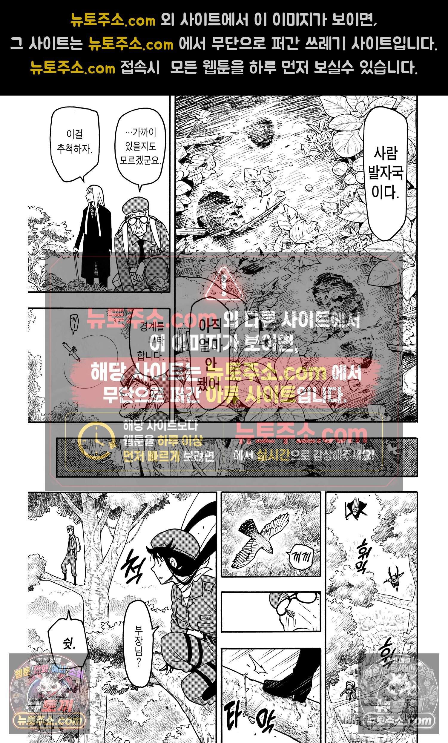 스파이 패밀리 MISSION : 116 10