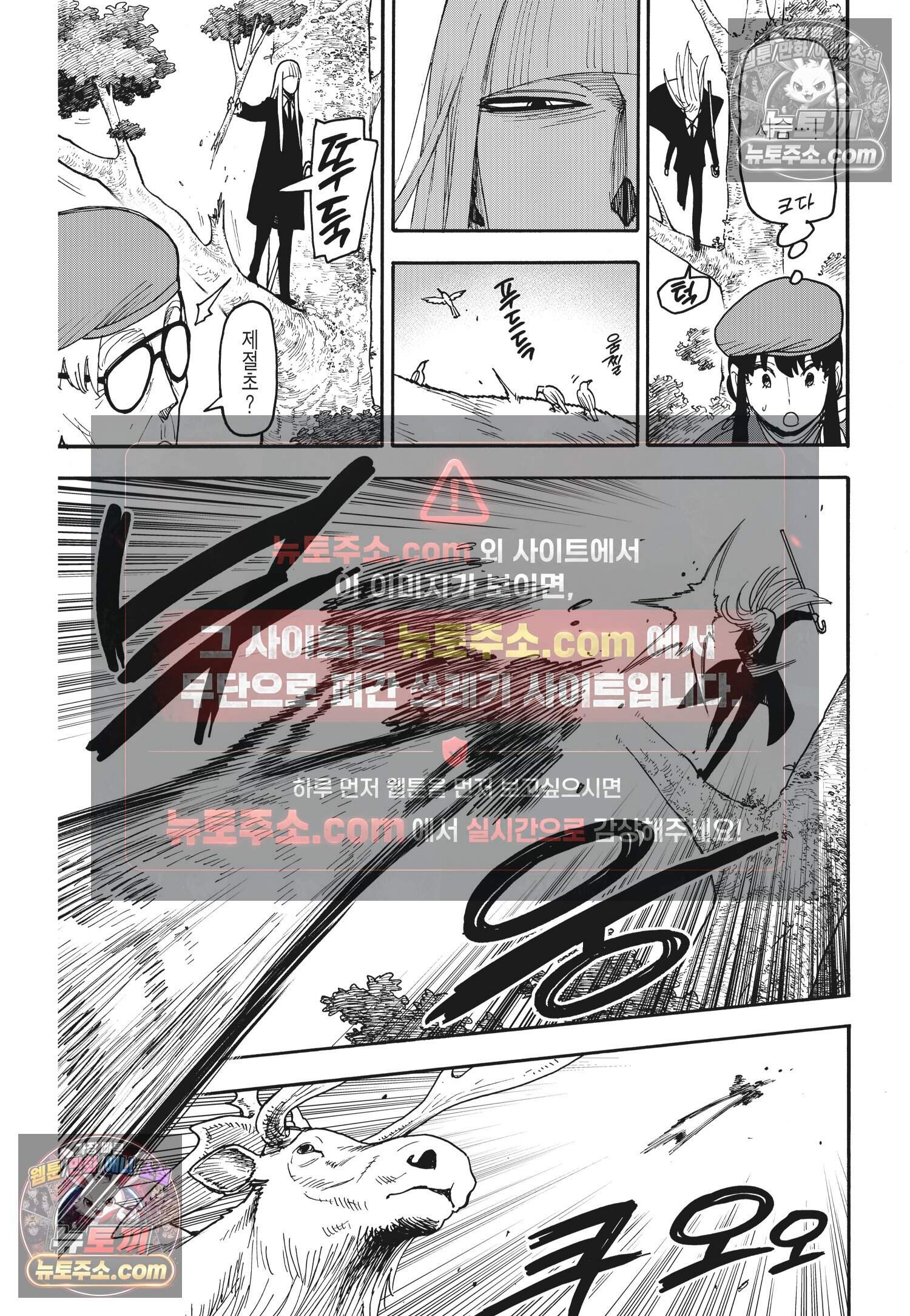 스파이 패밀리 MISSION : 116 12