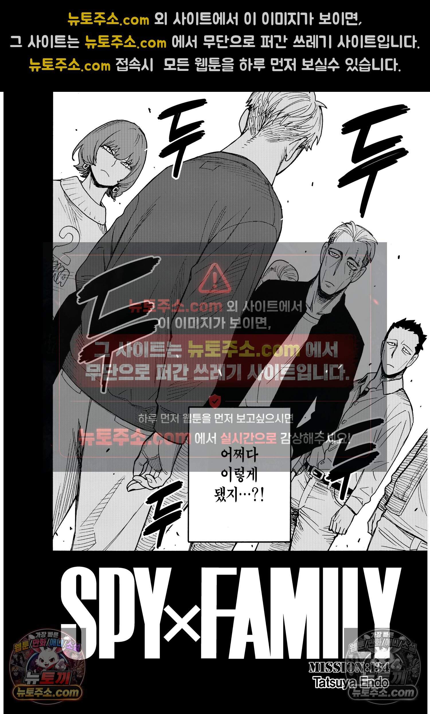 스파이 패밀리 MISSION : 134 3