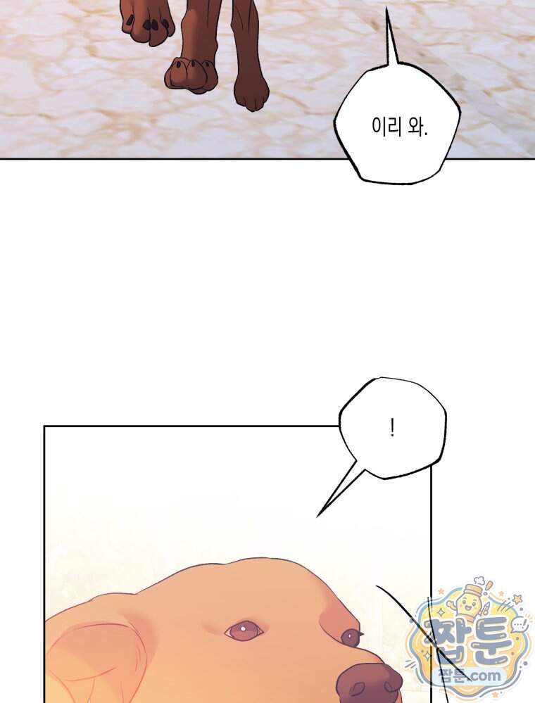 내가 버린 개에게 물렸을 때 119화 66