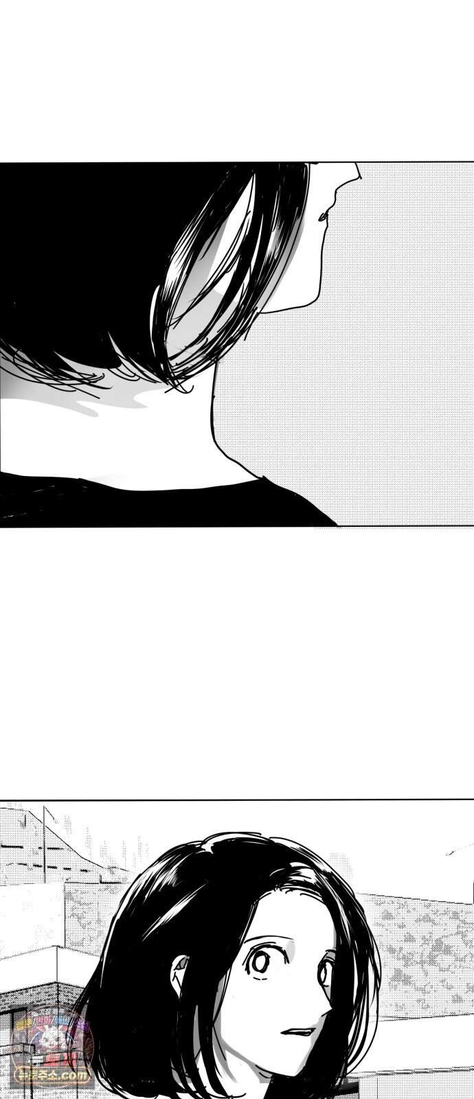 꽃과 재 24 72