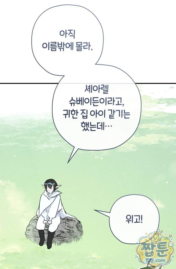 그 대공의 화려한 결혼은 사기 외전 3화 28