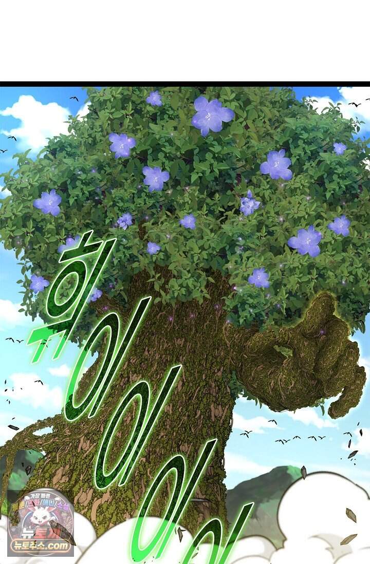 신급으로 레벨업 178화 3