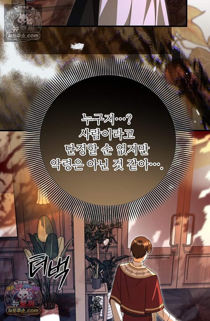 괴담학교에서 살아남기 61화 81