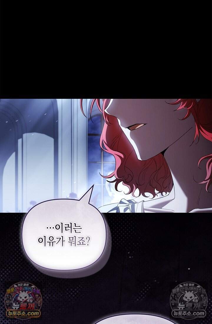완벽한 복수에 대하여 17화 63