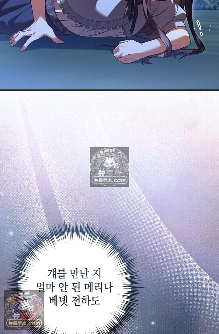 내 로판에서 꺼져 17화 38