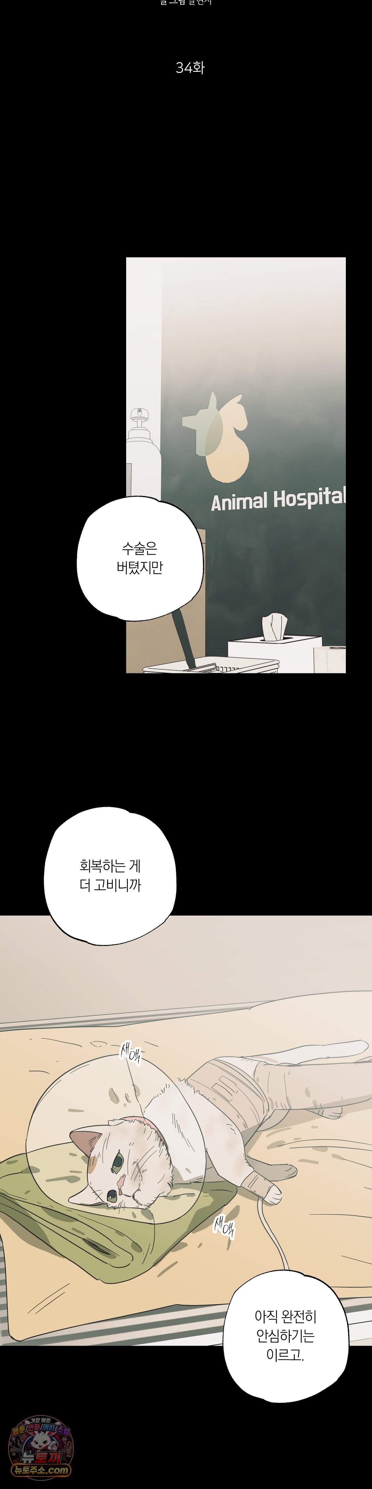 상호간택 34화 4