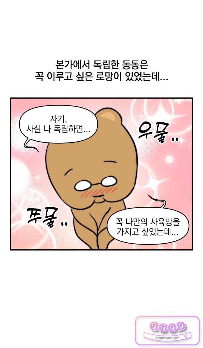 커플이상 부부미만 35화 - 동동의 비주류 취미 11