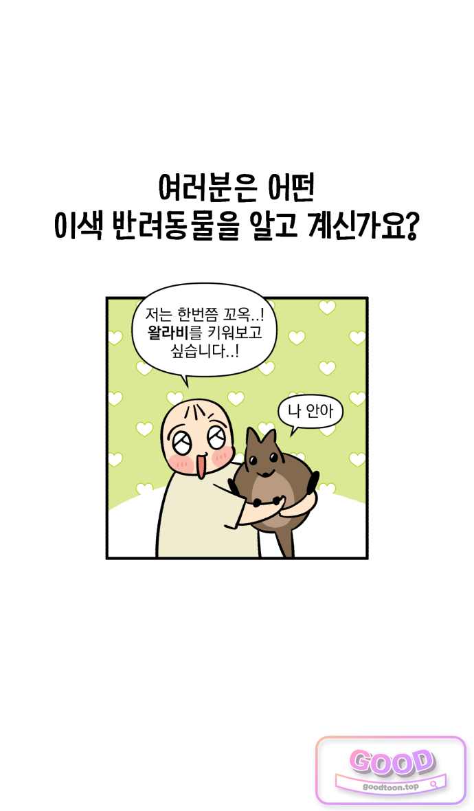 커플이상 부부미만 35화 - 동동의 비주류 취미 28
