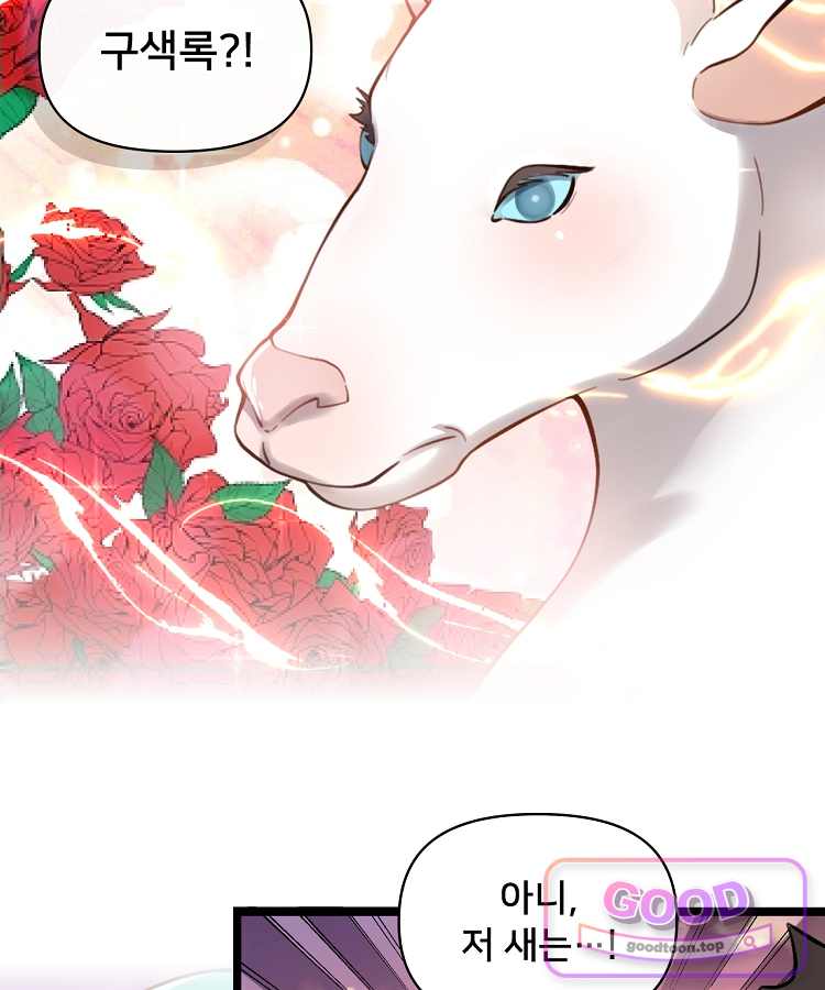 알고 보니 최강 신선 331화 52